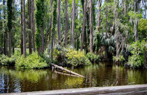 Newly Listed! 20 Percent Off! Golf and Tennis Community - Lavish Living - Foto 43