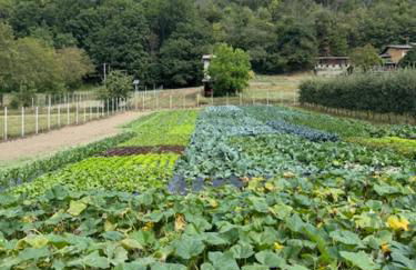 tegliohomevaltellina - Foto 47