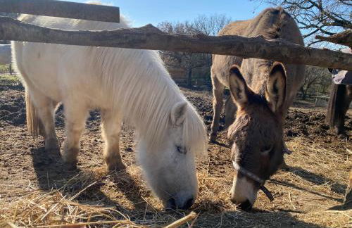 San Biagio - Foto 16