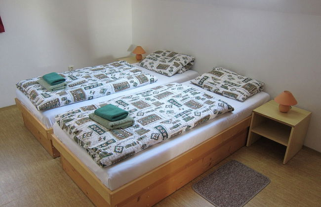 Mansion in Starkov Near Acitvities - Foto 4