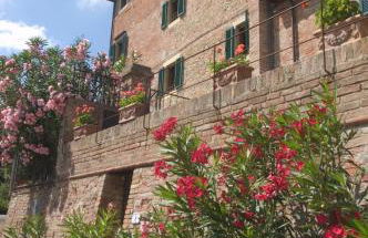 Borgo di Alica - Foto 108