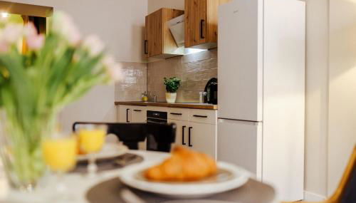 stilvoll, gemütlich und ruhig - Bad Kösen - salt apartments - Foto 4, stove, dishwasher, toaster