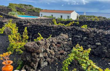 Insula Vinus Apartments - Photo 2