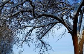 Dom Ci Spokój - Foto 42