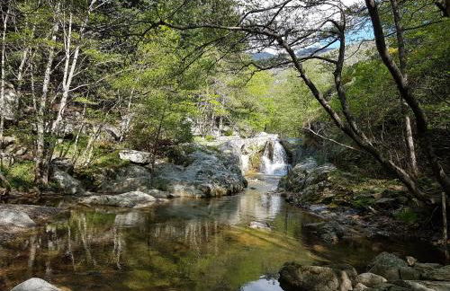 La Ferme De Chalas - Foto 45