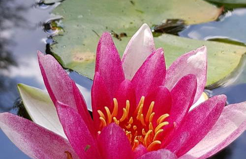 Ferienwohnung am Geißberg - Foto 14