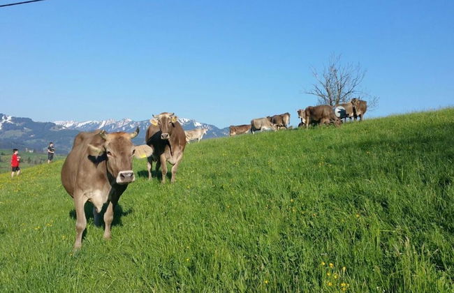 Nice Apartment in St. Maergen - Photo 13