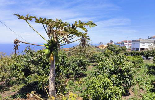 Apartamentos Guayonje Costa - Foto 27