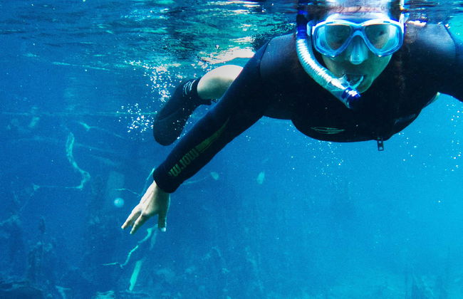 Snorkeling nei fiumi Prata e Olho d'Água - Photo 1