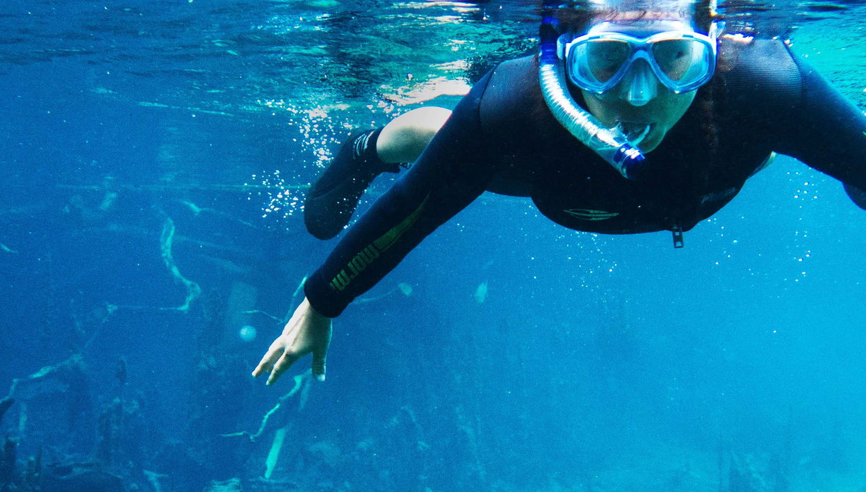 Snorkeling nei fiumi Prata e Olho d'Água