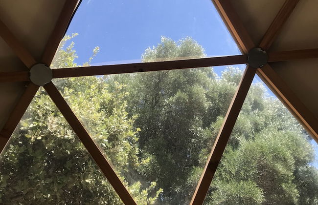 Domaine de la Tuilière - Foto 57