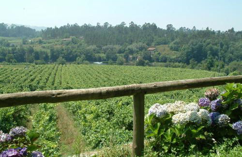 Quinta do Burgo - Nature Hotel - Foto 84