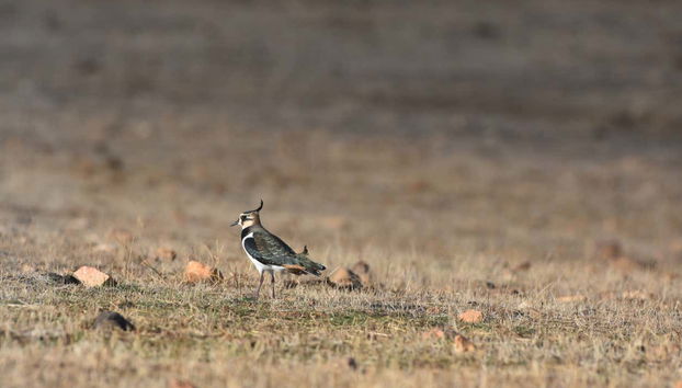 Tour in Cáceres - Photo 5