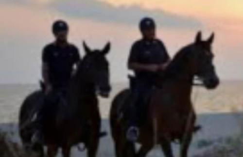 Villa Nicole - LUMINOSO APPARTAMENTO - Foto 24