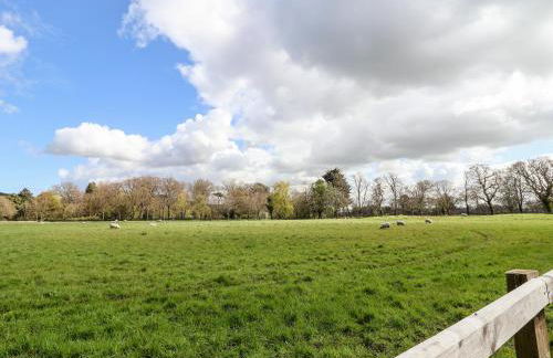 Cornelyn Bach - Foto 18