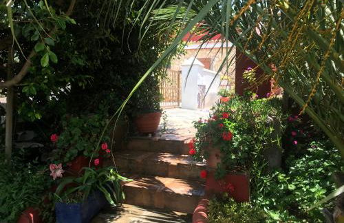 CASA DEL MIR - Photo 57