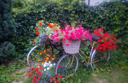 Nice Holiday Apartament in Masuria with the charm of an old-fashioned house with garden and with a smart wellness-bathroom - Foto 20