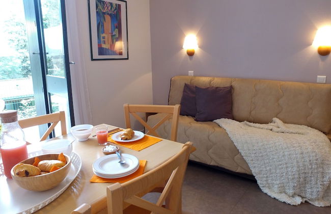 VVF Cantal Champs-sur-Tarentaine - Photo 13