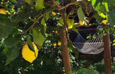 SUN & RELAX, relaxing location with seaview - Foto 33