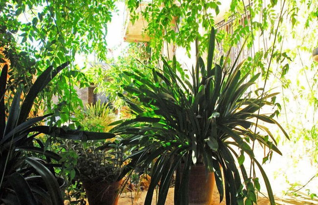 Finca Sa Cova Vella - Photo 26