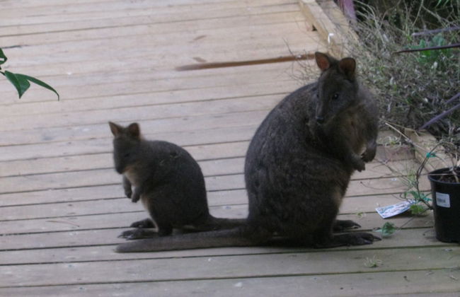 AAA Granary Accommodation - Foto 3