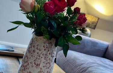 Muggelhuus das Loft mit Elbdeichblick im Alten Land und mit Wallbox - Photo 44