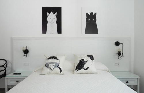 Il gatto Franco - Photo 25