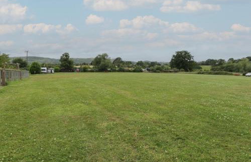 The Turbles - Swallows Nest - Foto 24