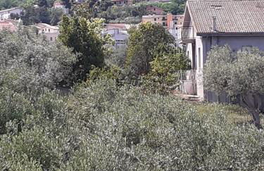 Il Giardino degli Ulivi - Foto 37