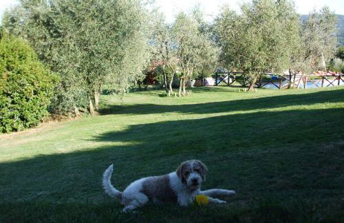 Poggio Agli Ulivi - Foto 25