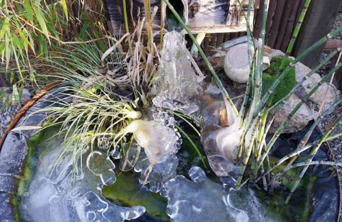 La Cabane des Colibris - Photo 31