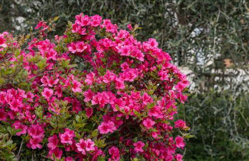 Agriturismo Pozzo Fiorito - Foto 99