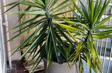 Milan City Smart - Photo 12