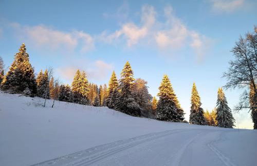 Appartement Daria - Foto 12