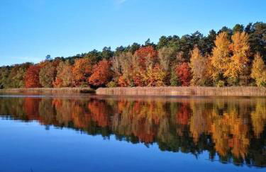 Ferienhäuschen in Beetz - in 5 min am See und Wald - Foto 24