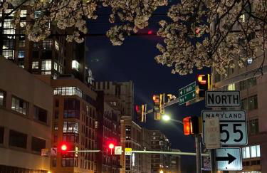 Entire 4 bedroom familyfriendly basement apartment, MetroWalk - Foto 71