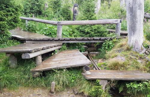 Ferienwohnung Fürst - Foto 22