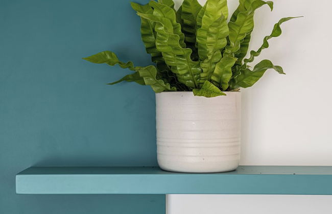 Mate GEORGE - By HOMY - Foto 42