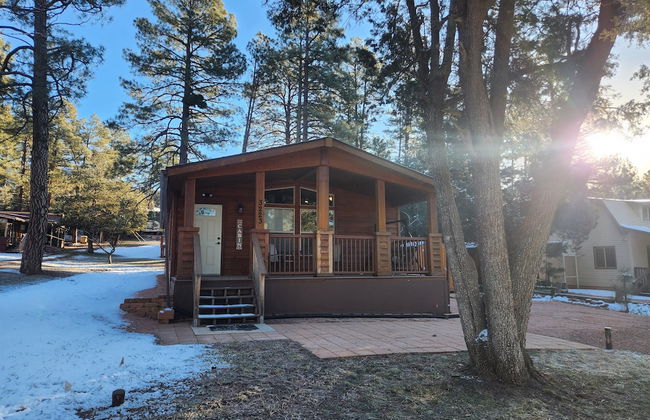 Old County Pine - Photo 34