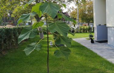 Ferienwohnung Schmidt - Foto 27