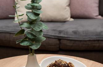 Beachfront house Miamore - 10 m from the sea - Foto 25