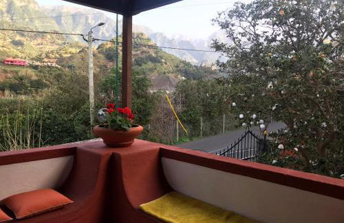 Palheirinho da Camélia - Foto 22