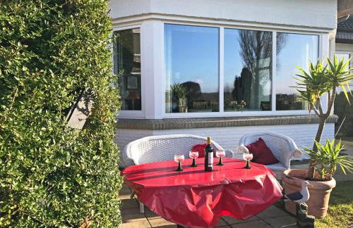 Seeschwalbe - Foto 16