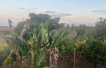 Linda casa em condomínio fechado - Foto 9