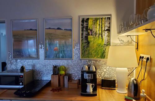 Szczodre Sybillenort blisko Wrocławia - Photo 55