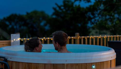 Blaenplwyf Shire Pods - Foto 4