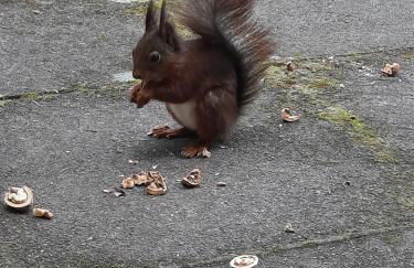 Ferienhaus Leon mit Sauna - Foto 24