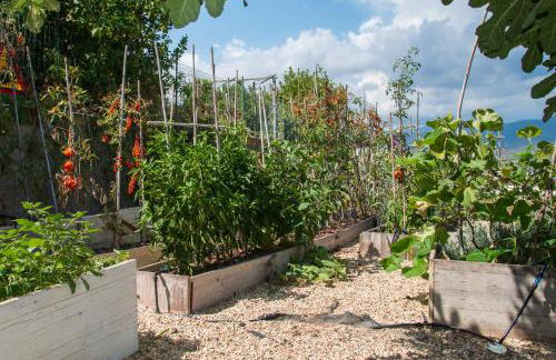 Villa Annetta - Foto 73