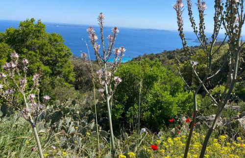 Rez de Jardin T3 recent et calme au Nouvelles Terres à La Londe les Maures - Foto 38