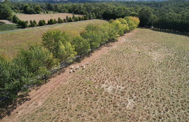 StayAU Lakeview Cottage 2BR Cozy Nature - Foto 31